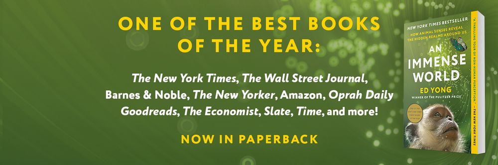 An ad for AN IMMENSE WORLD, which says that it’s now out in paperback, and which lists publications that have named it one of the best books of the year