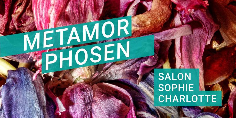 Metamorphosen: Salon Sophie Charlotte