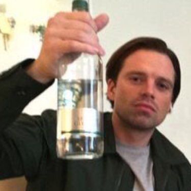 Sebastian stan looking slightly dead inside while cheering with an entire bottle of vodka or sumthin idk
