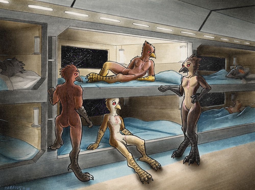 Two male, two female Chozo squadmates unclothed and preparing for bed in their shared bunk in the Habitation Corridor. The leader is relaying some information/instructions before bed.