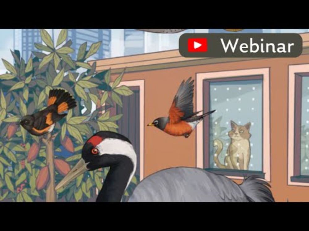 Keep Cats Away: Webinar for World Migratory Bird Day 2025