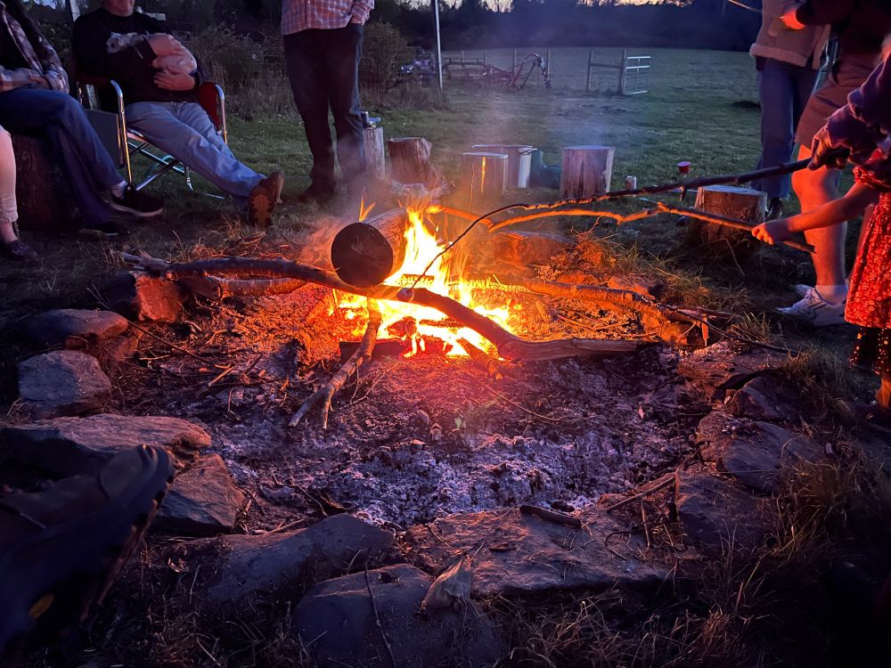 A New England campfire as the sun sets. Some folks are roasting marshmallows with collected twigs and others are drinking around the campfire and relaxing. Seating is a mix of folding chairs and stumps. Rustic and cozy. 