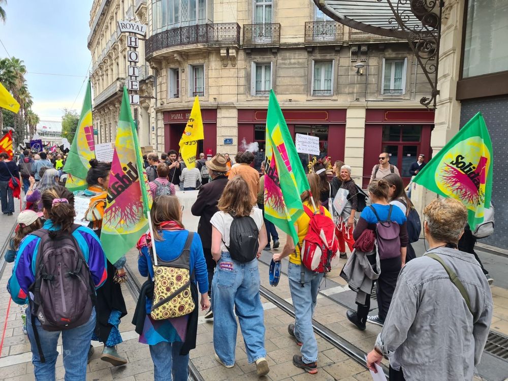 Photos du cortège Solidaires à la marche des résistances de Montpellier 