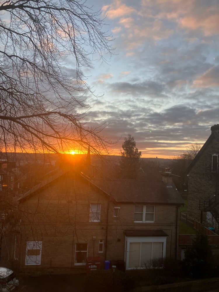 Picture of an orange sunrise over trees and buildings in Sheffield 