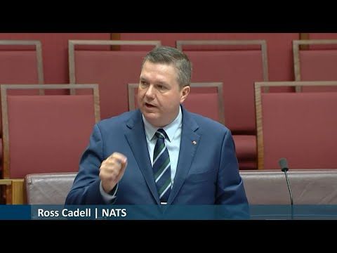 Senator Ross Cadell Call Out Vaping Regulation Faiure 21 Nov 2024