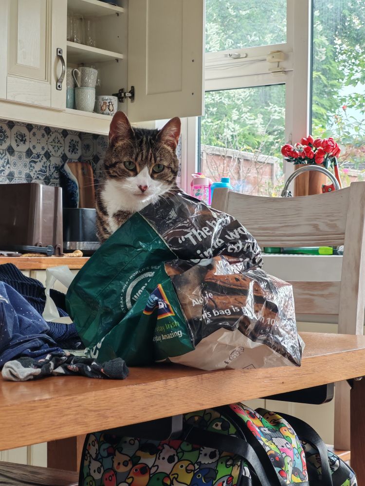 An idiot baby sits down in a plastic bag
