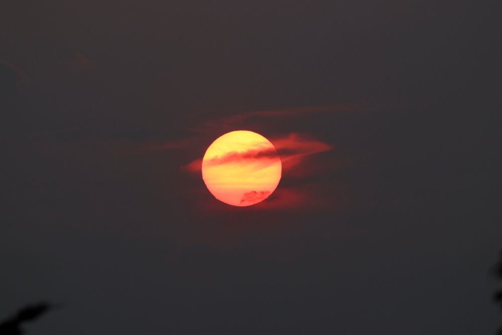 Comment image
