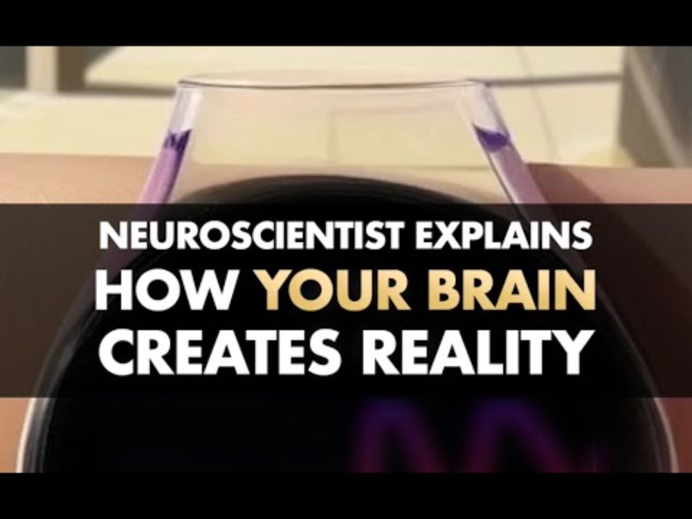 How Your Brain Creates Reality