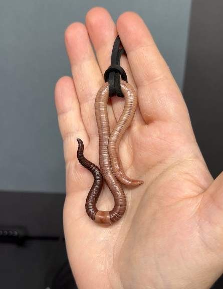 RESTOCKED 8/7 - SOLD OUT 8/7 NEXT RESTOCK - 8/14 - IT WILL BE HUGE If you want to know when I restock this coming week, click on any sold worm pendant on the site and sign up for a restock alert. I re...