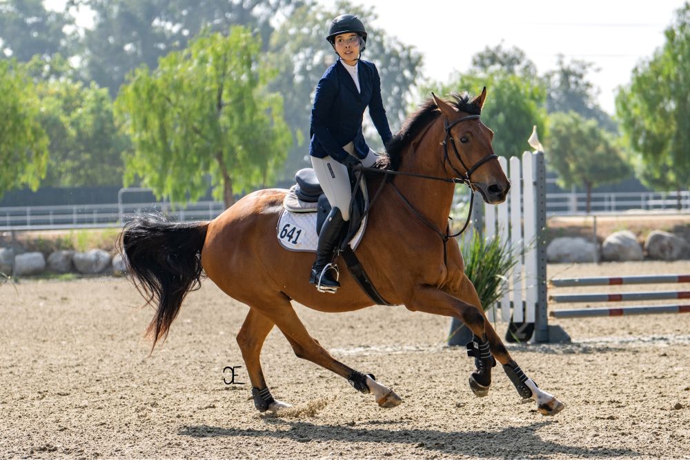 adri & fenris cantering to their next jump