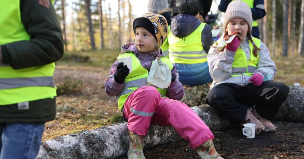 UPM pahoittelee tapaa, miten se kertoi lapsille metsän hävittämisestä Loviisassa