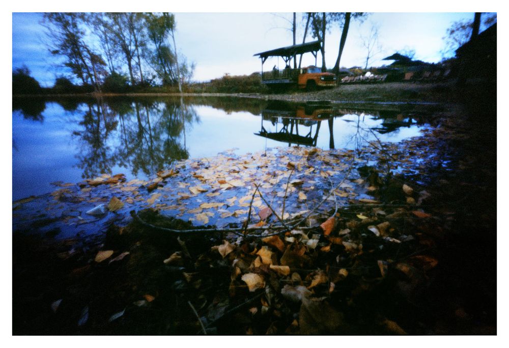 Color photograph of a pond with autumn leaves floating. On the other side of the pond is a bandstand. The blues are quite intense.