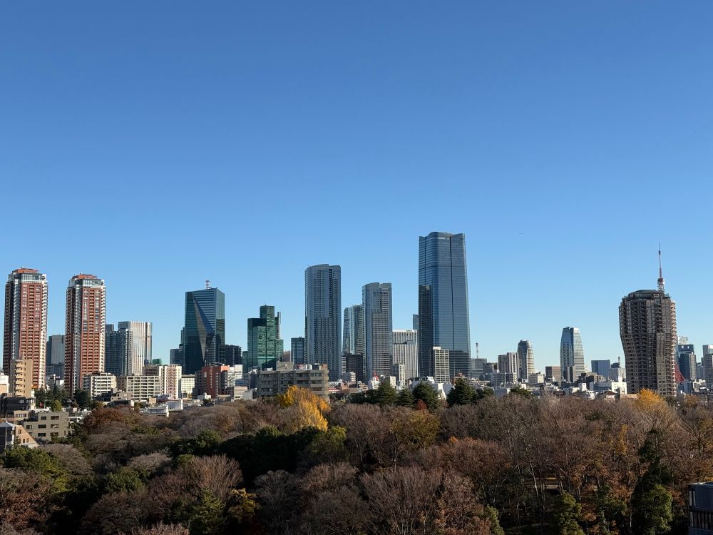 Tokyo on the morning of December 4.  The early winter clearance, dry sky is blue and central Tokyo’s towers loom over Arisugawa Park.  Tokyo Tower peaks out on the right, above Mori Building’s Moto Azabu Tower, better known to locals as the Mushroom Tower for its bulging top floor section designed to allow more daylight to the surrounding neighborhoods of two story houses and temples.