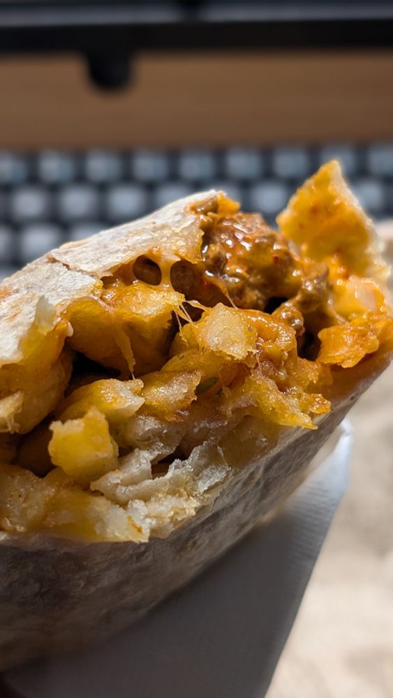 Closeup of California burrito