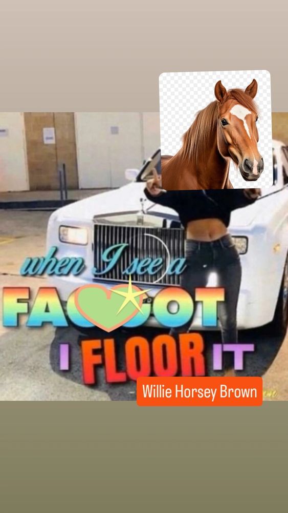 Meme of Millie Bobby Brown saying "When I see a f@ggot I floor it" but millie is actually a horse