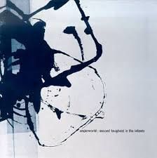 Cover of the Underworld album Secondtiughestintheinfants