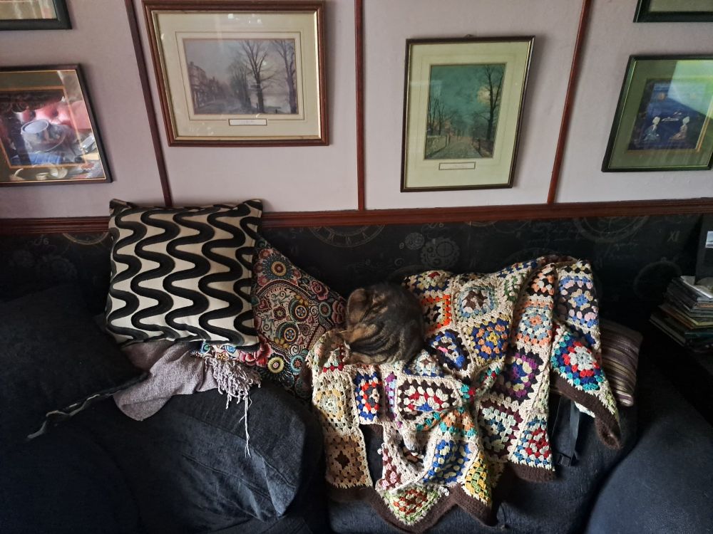 My cat Strøffik asleep on the back of the sofa as it's now winter and that's her winter perch 