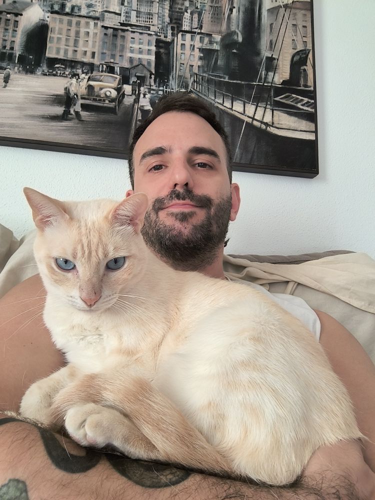 Gato blanco mezclao en mis brazos mirando a cámara.