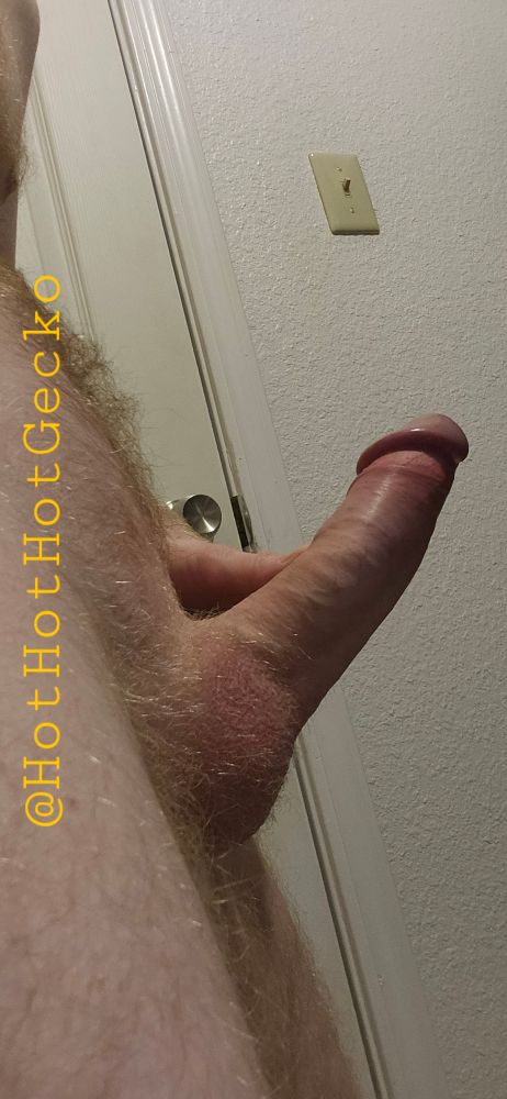 Gecko's cock from the side