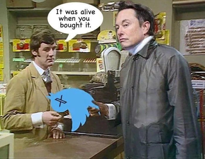 Dead parrot sketch Von Monty python. Auf John Cleese ist der Kopf von Elon Musk montiert. Er hält den Twitter Vogel in der Hand.
Michael Palin sagt „it was alive when you bought it.“
