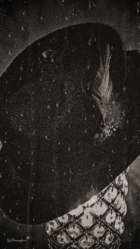 "Whisper through the Rain"

The streets of the city had long since been swallowed by the dark clouds. A drizzle fell, coating the cobblestones with a glimmering sheen, as if the world itself was crying, mourning something lost, something forgotten. Amid the downpour, a woman walked alone, her steps slow and deliberate, her silhouette barely visible through the veil of rain.
Her wide-brimmed hat, black as midnight, obscured her face, leaving only the slightest hint of a shadow where her features should have been. The feather that adorned the hat danced with the wind, its tip brushing against the mist like an unspoken secret. The hem of her dress shimmered beneath the water’s touch, intricate patterns of beads and lace catching the faint light that filtered through the clouds.
She had been walking for hours, or was it days? Time was a concept long discarded. The world around her seemed suspended, frozen in a perpetual state of waiting, as if the rain had cast a spell that held everything still. Yet, in the depth of the storm, there was a quiet hum that seemed to draw her forward—a whisper calling from beyond the mist.
The feather caught her attention, glinting in a way that made her pause. She reached up, fingers brushing the delicate strands. In that moment, the rain seemed to grow heavier, the weight of it pushing her downward as if the sky itself was pressing upon her.
A voice—soft, almost imperceptible—whispered her name.
She didn’t startle, for she had been expecting it. She had always known the call would come, but still, she couldn't help the chill that ran down her spine. The time had arrived, and there was no turning back.
With a final glance over her shoulder, she pulled the feather from her hat, holding it delicately between her fingers. It was time to face what lay beyond the fog,beyond the storm. Whatever it was, it had been waiting for her, and now, she was ready.
