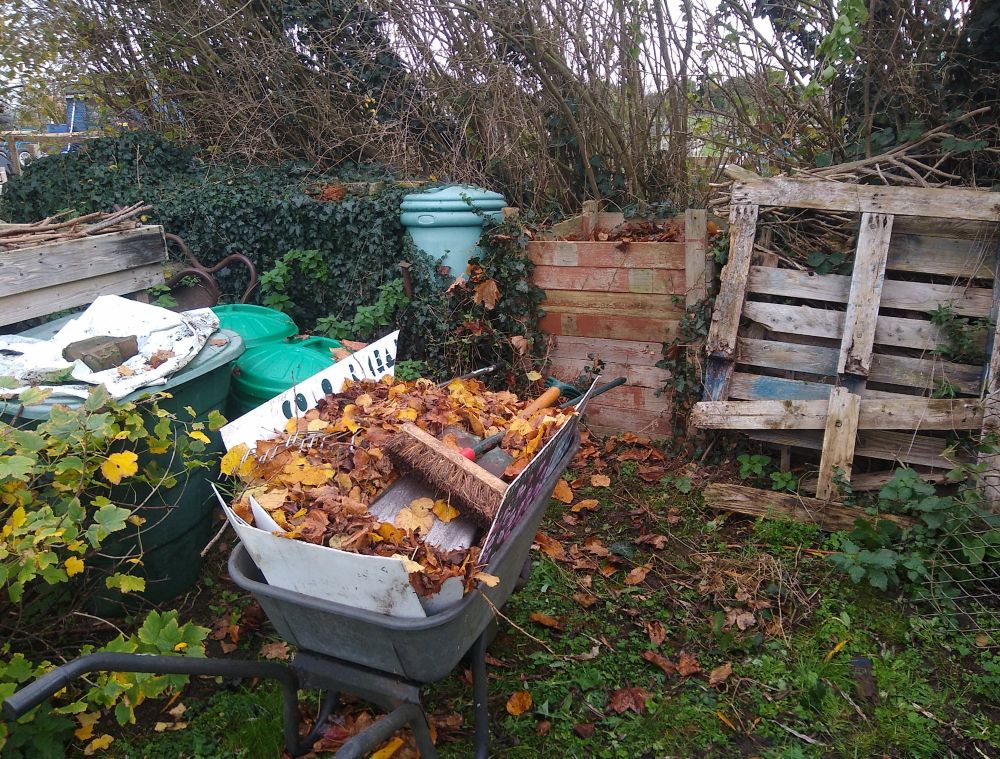 My wheelbarrow full of leaves (with plasticard "greedy boards" fitted so I can get more leaves in on each trip) sitting in front of the wooden leaf mold bin which it is about to be emptied into.