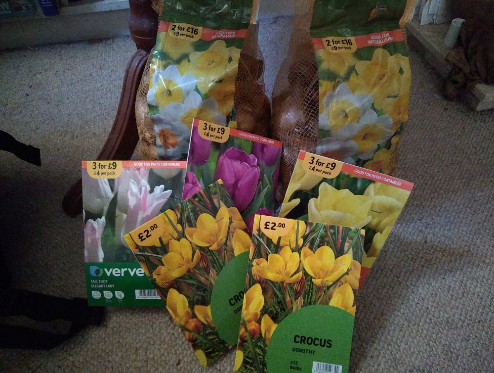 Some packets of tulips, daffodils and crocuses