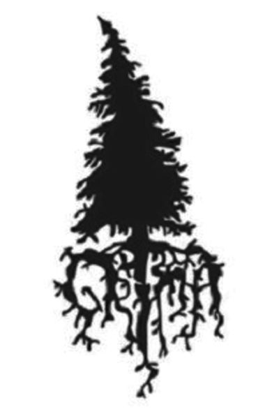 Logo for the band Grima. The letters 'Grima' are stylised to look like the roots of some kind of conifer tree. The tree and the letters are a black silhouette