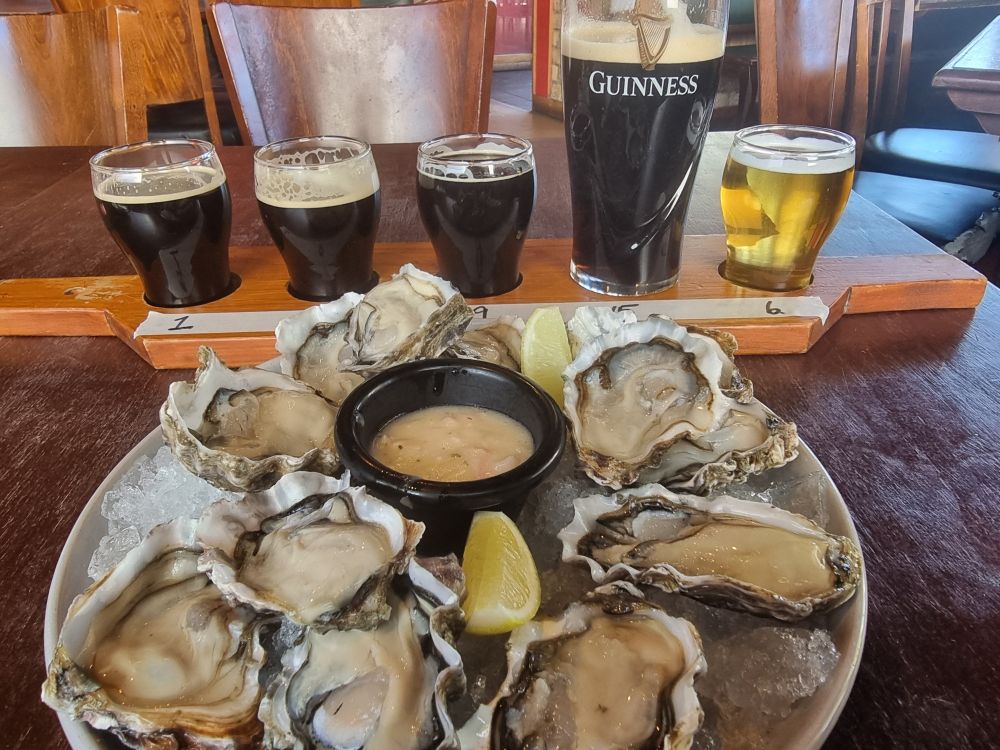 A plate with a dozen oysters in their shells. Behind it is a row of 3 small glasses of dark beer, a comically large pint of Guinness and a single small glass of pale lager. 