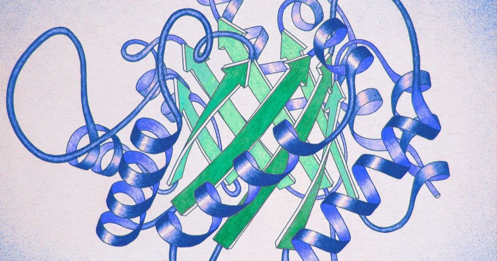 How Colorful Ribbon Diagrams Became the Face of Proteins | Quanta Magazine