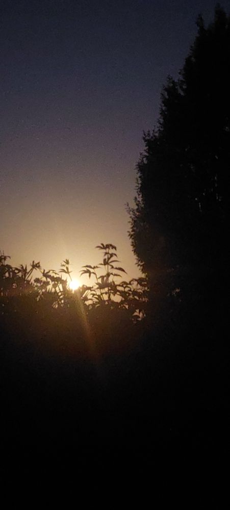 La  lune de nuit dans l’ombre des arbres chez moi 