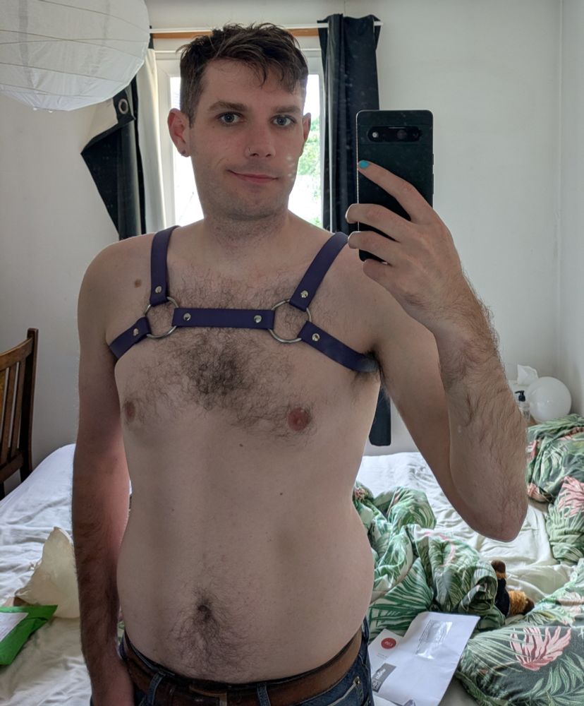 Mirror selfie. Alex is topless, wearing a purple harness