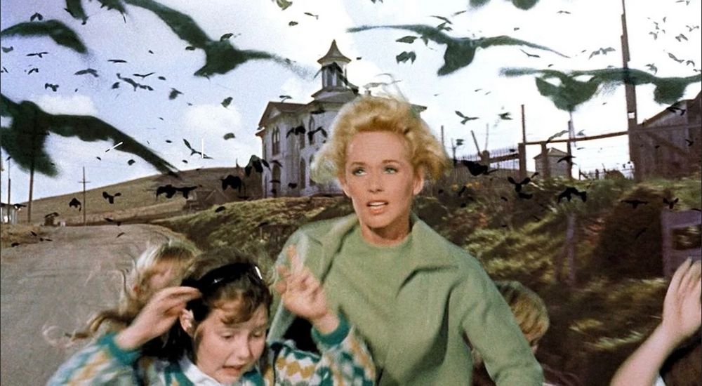 Still photo from Alfred Hitchcock’s ‘The Birds”. In the center is a blonde woman in a light green dress. Two children are at her side. They are fleeing as a big flock of flying crows surrounds them. In the background stands an old schoolhouse with a cupola.