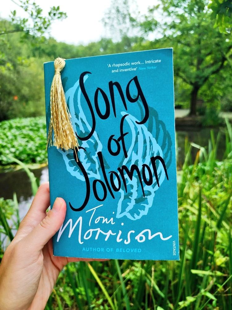 Book song of Solomon Toni Morrison 