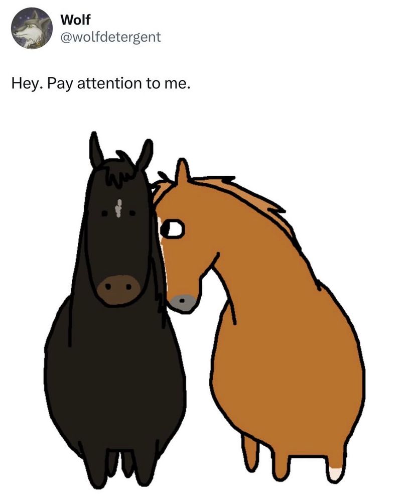 tweet from @/wolfdetergent

“Hey. Pay attention to me.”

doodle of two poorly drawn horses. One  on the left is dark and staring straight ahead and the one on the right is like a light brown and it is staring at/nuzzling against the other horse