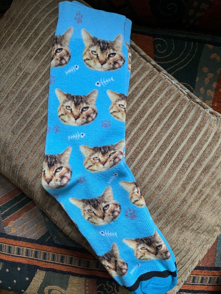 A pair of socks printed with my cat’s sour little face all over them plus fish skeletons and paw prints