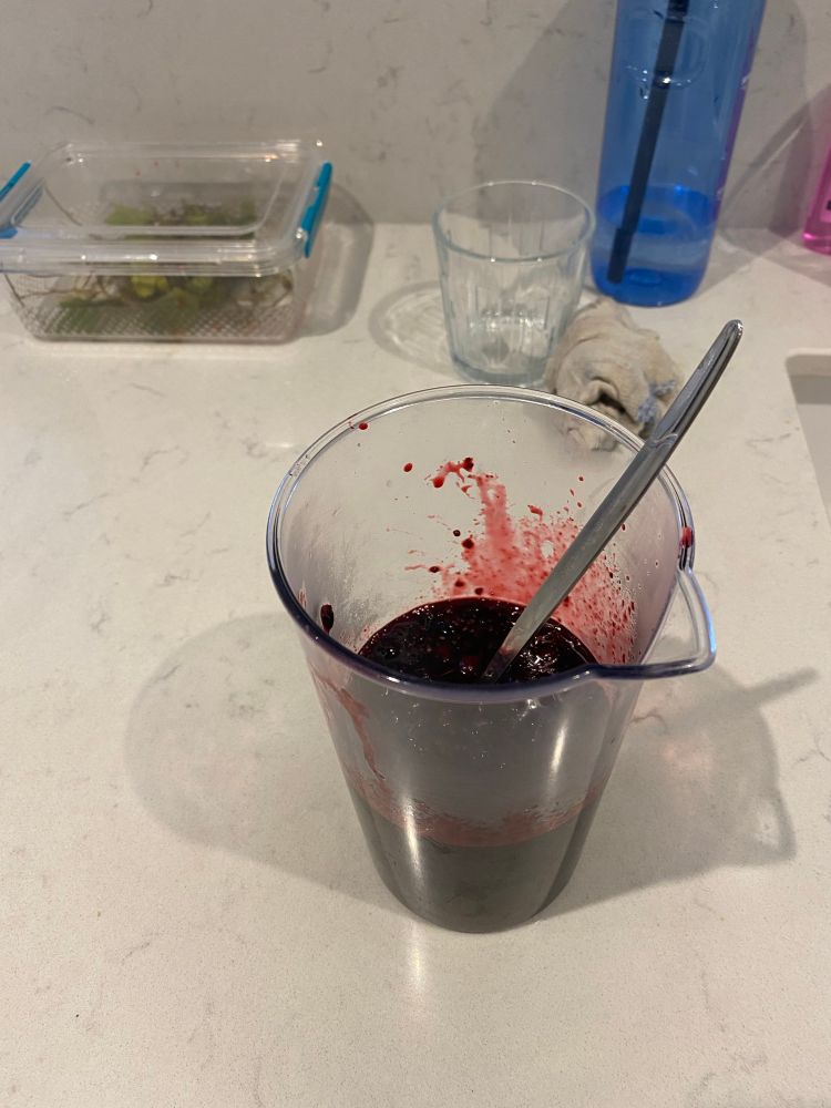 Finished product - blackcurrant sauce 
