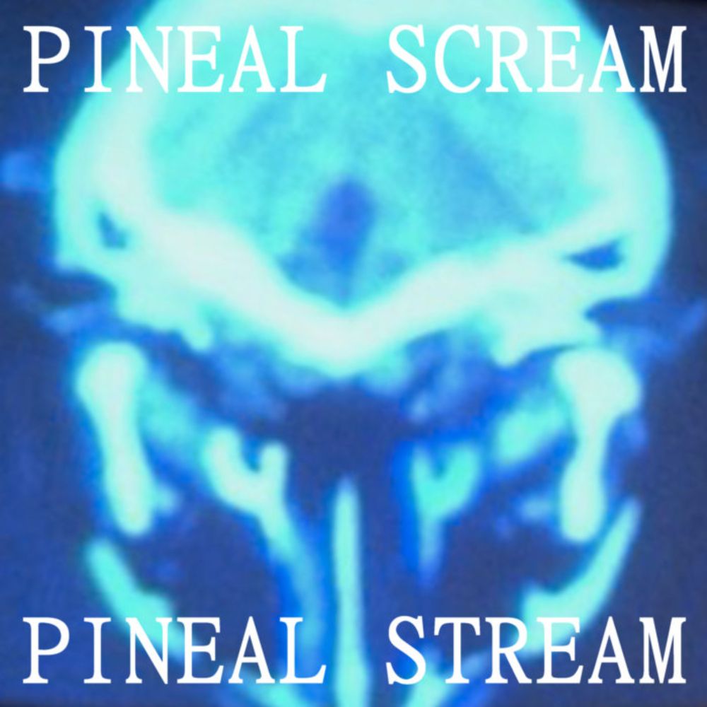 Pineal Stream, by Pineal Scream