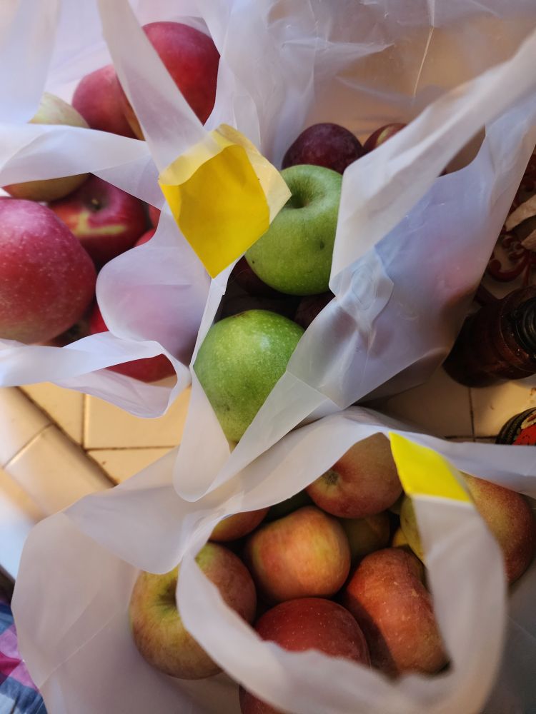 Three bags filled with Red Rome, Fuji, and Evercrisp apples.