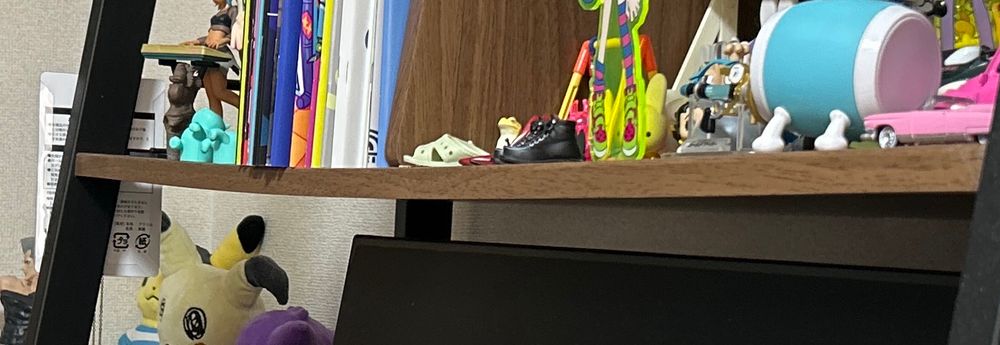 同人誌の重量を舐めて棚の中央に置き続けたら歪んだんだと思う棚。愛の重み。