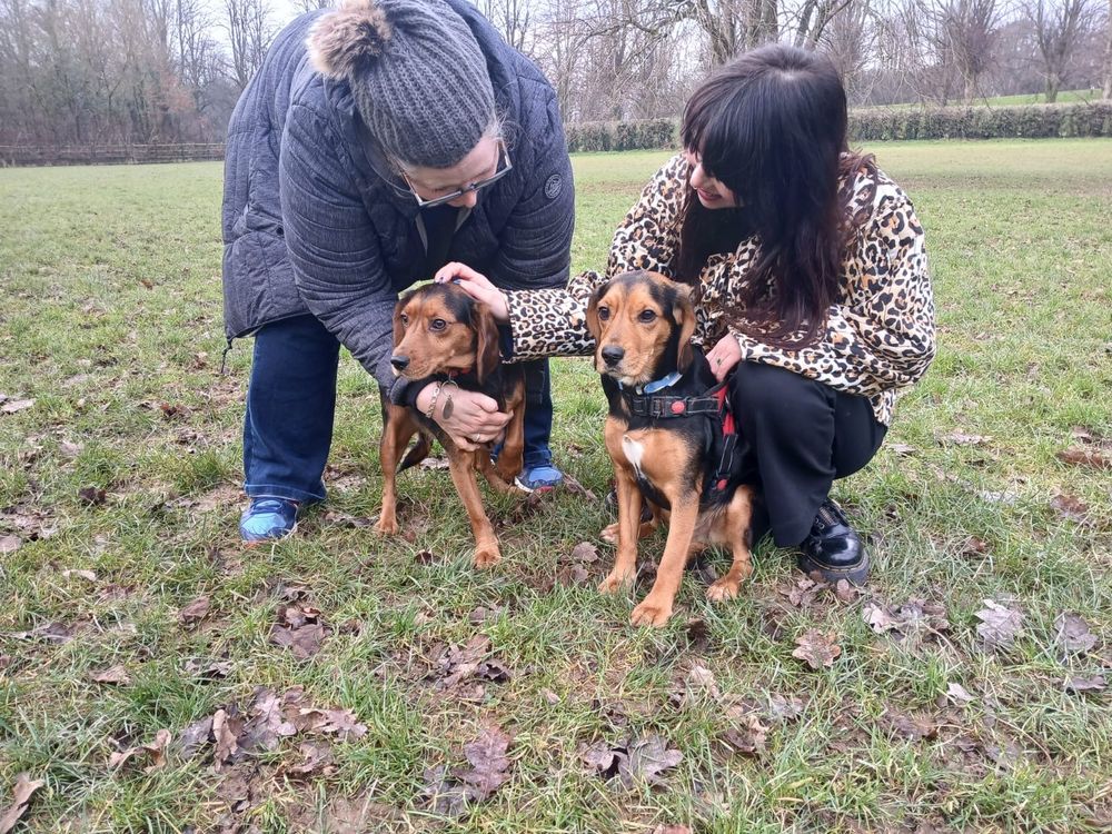 Stella and Turnip with their mums Liz and Jane