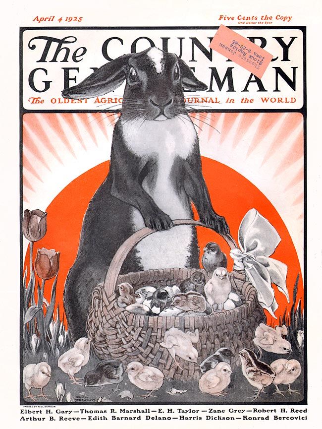 Cover of Country Gentleman magazine - 1925-04-04.

"The Easter Bunny has hopped in, and found himself lumbered with a basket of tiny chicks. Artist: Paul Bransom Source: eBay seller daysoffuturepast. Restoration by: magscanner" - from Internet Archive