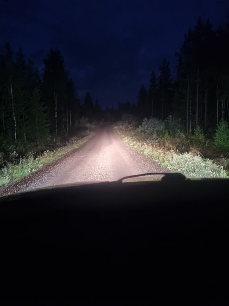 Narrow gravel road seen from my car.
It's dark outside, and my headlights are the only source of light.
