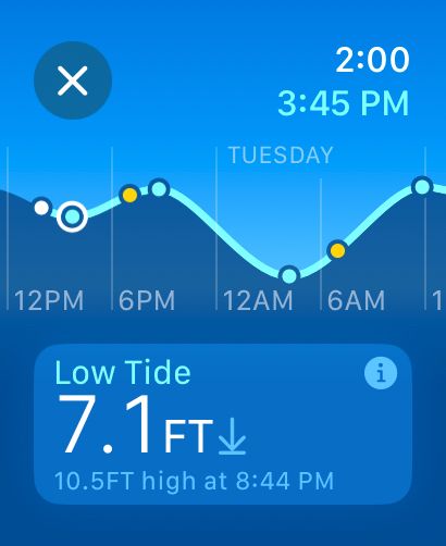 Tides app showing low tide timing