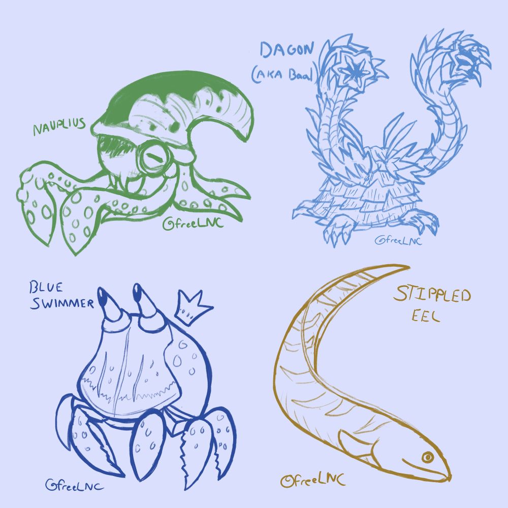A collection of the above three sketches, with an added Stippled Eel sketch.