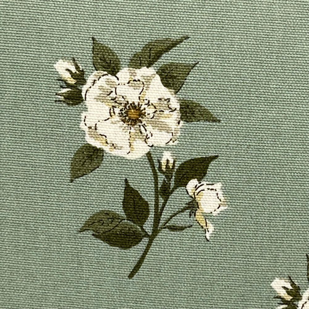 Close up of white rose flower image.