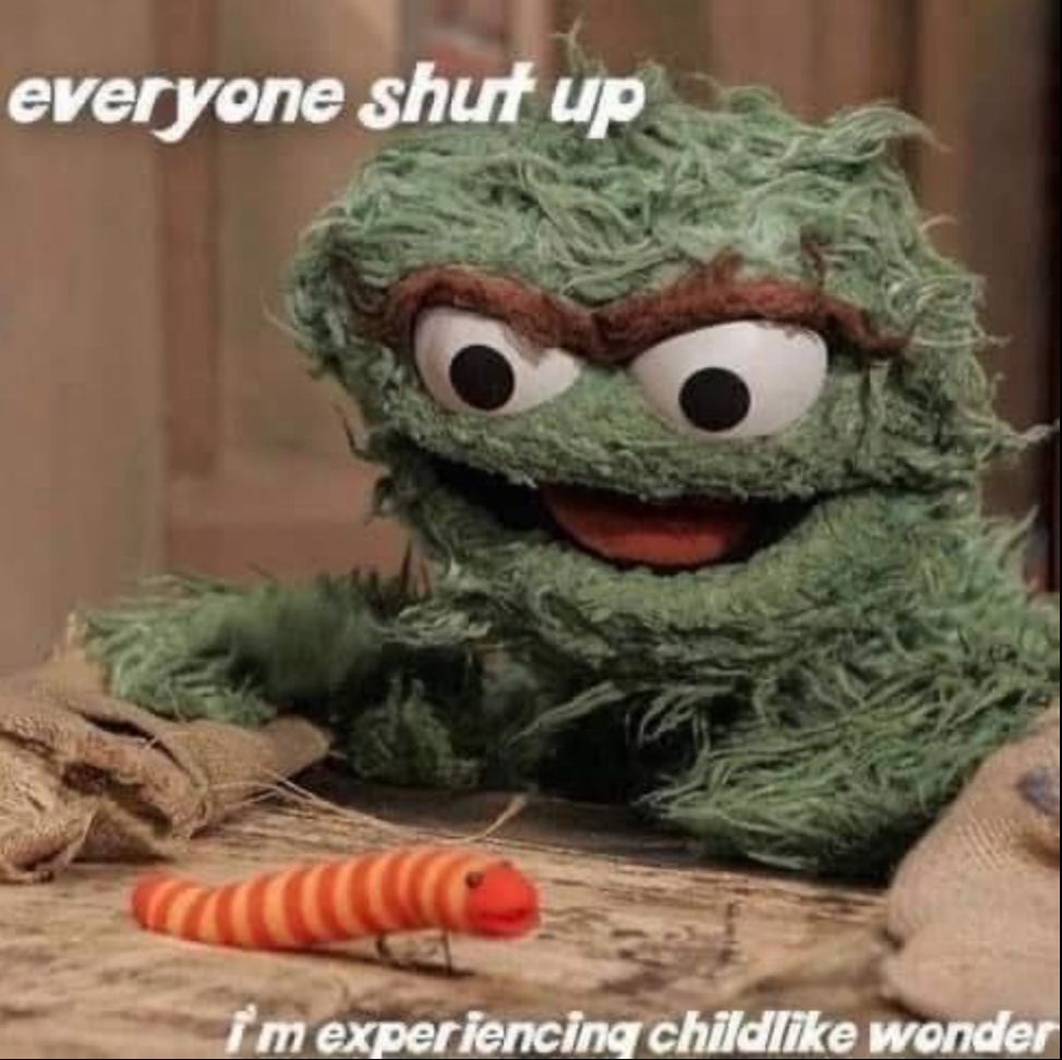 Photo of Oscar the Grouch with the text "everyone shut up i'm experiencing childlike wonder"