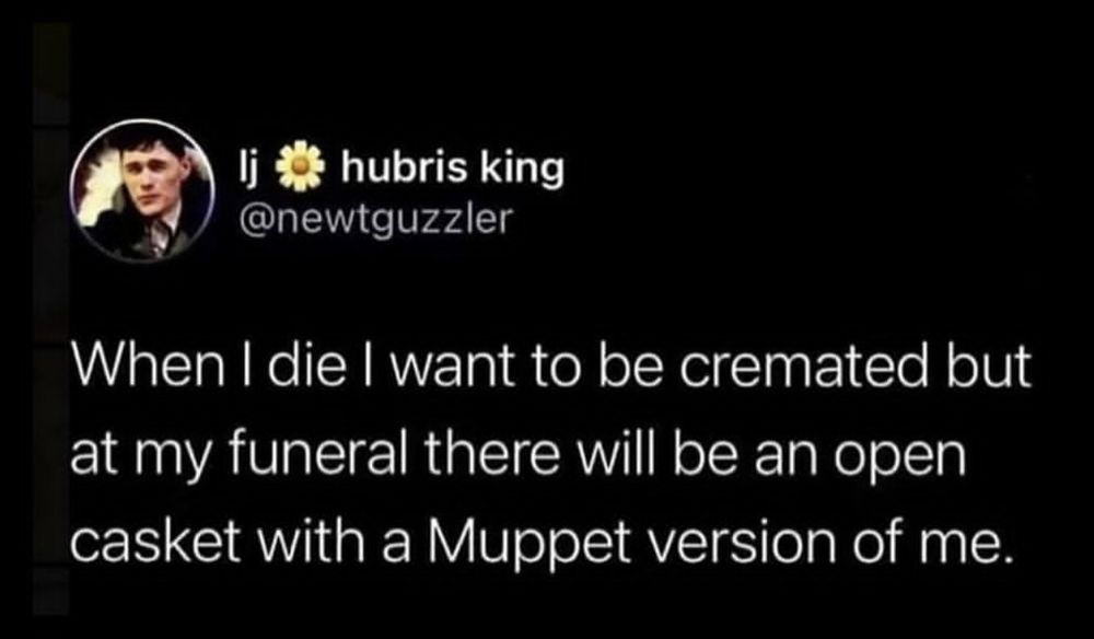 
hubris king
@newtguzzler

When I die I want to be cremated but
at my funeral there will be an open
casket with a Muppet version of me