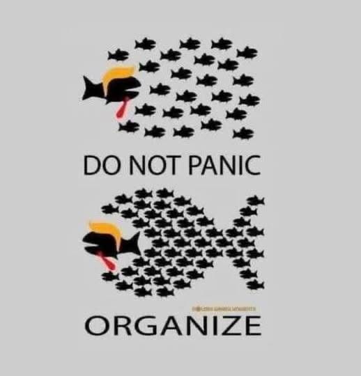 So not panic (großer Fisch frißt kleine Fische)
Organize (viele kleine Fische jagen den großen)