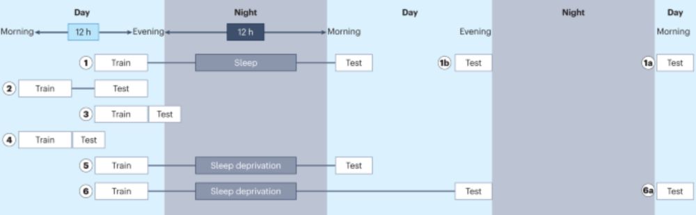 Optimizing the methodology of human sleep and memory research - Nature Reviews Psychology